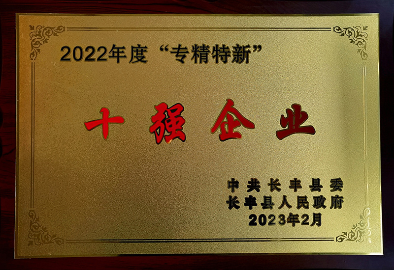 長(cháng)豐縣2022年度專精(jīng)特新(xīn)十強企業