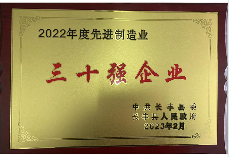 2022年度先進制造業三十強-長(cháng)豐縣人民(mín)政府